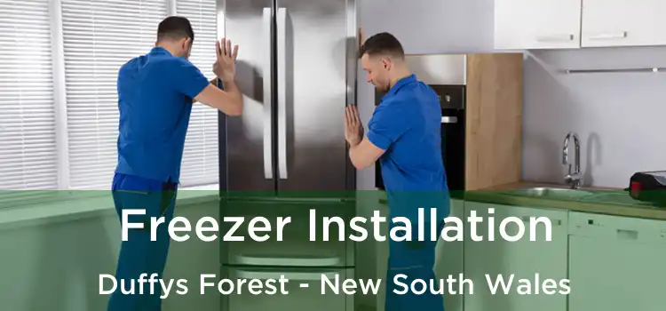 Freezer Installation Duffys Forest - New South Wales