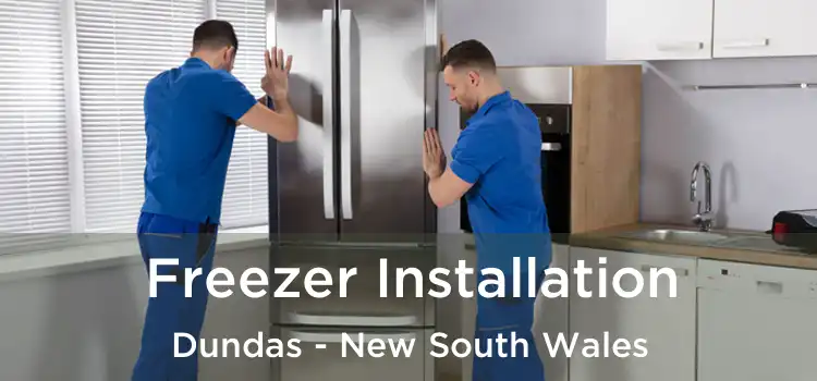 Freezer Installation Dundas - New South Wales