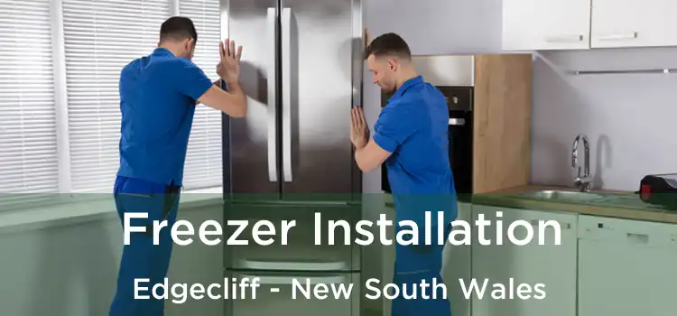 Freezer Installation Edgecliff - New South Wales