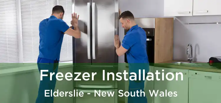 Freezer Installation Elderslie - New South Wales