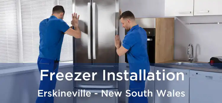 Freezer Installation Erskineville - New South Wales