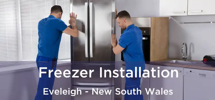 Freezer Installation Eveleigh - New South Wales