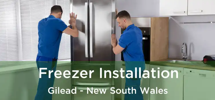 Freezer Installation Gilead - New South Wales