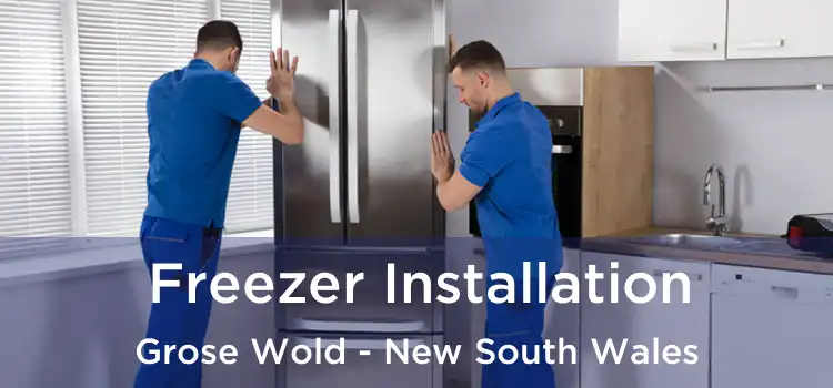 Freezer Installation Grose Wold - New South Wales