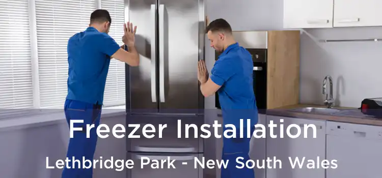 Freezer Installation Lethbridge Park - New South Wales