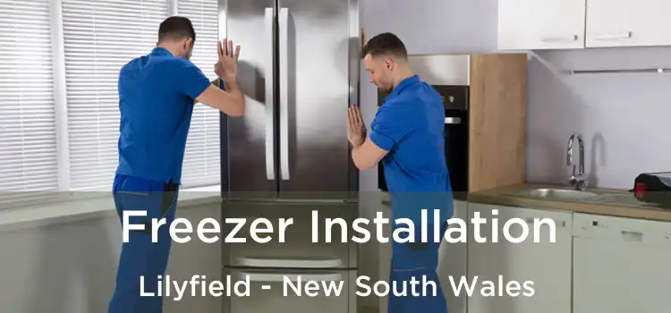 Freezer Installation Lilyfield - New South Wales