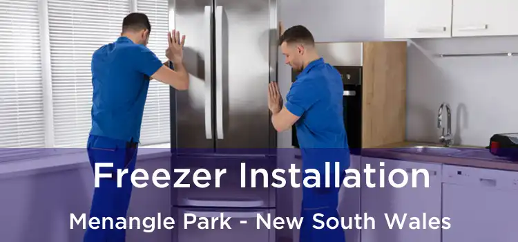 Freezer Installation Menangle Park - New South Wales