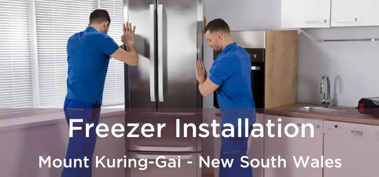 Freezer Installation Mount Kuring-Gai - New South Wales