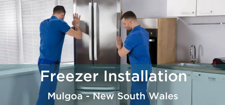 Freezer Installation Mulgoa - New South Wales