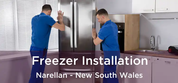 Freezer Installation Narellan - New South Wales