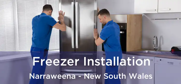 Freezer Installation Narraweena - New South Wales