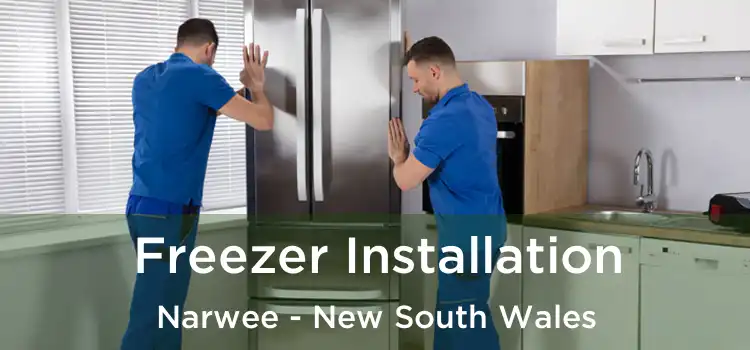 Freezer Installation Narwee - New South Wales