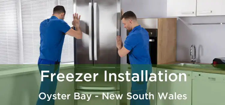 Freezer Installation Oyster Bay - New South Wales