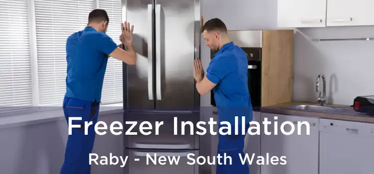 Freezer Installation Raby - New South Wales