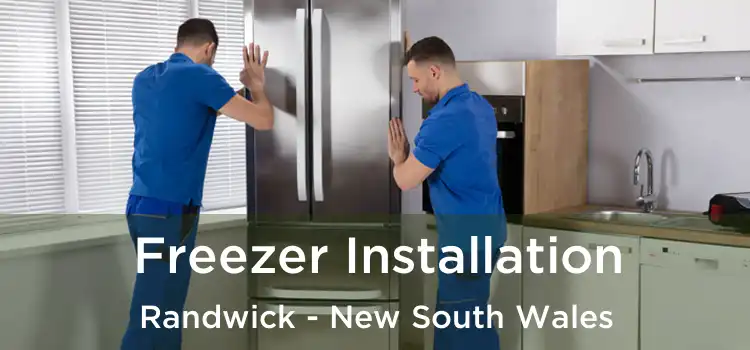 Freezer Installation Randwick - New South Wales