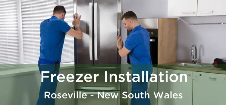 Freezer Installation Roseville - New South Wales