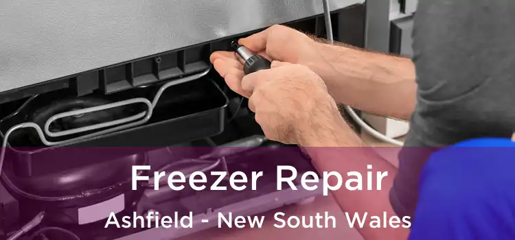 Freezer Repair Ashfield - New South Wales