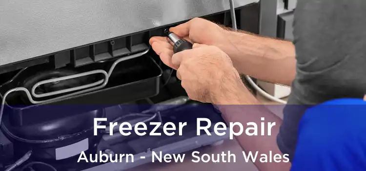 Freezer Repair Auburn - New South Wales