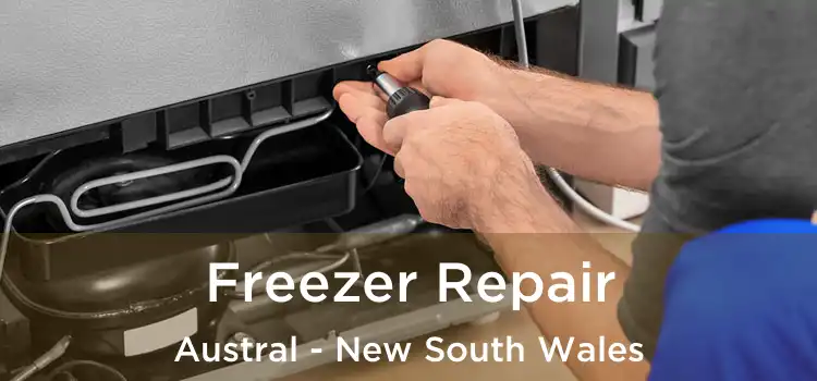Freezer Repair Austral - New South Wales