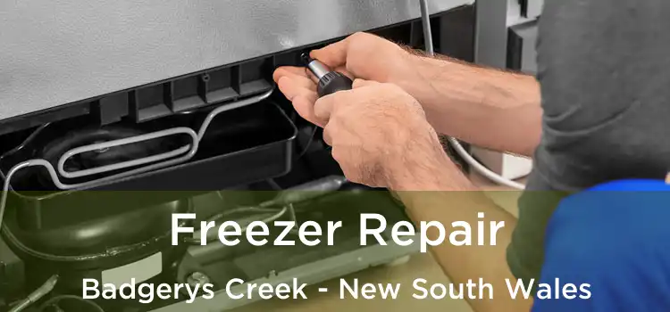 Freezer Repair Badgerys Creek - New South Wales