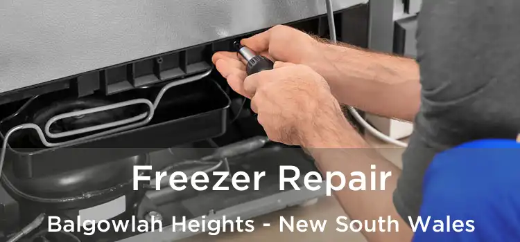 Freezer Repair Balgowlah Heights - New South Wales