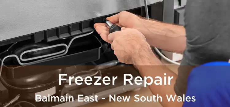 Freezer Repair Balmain East - New South Wales