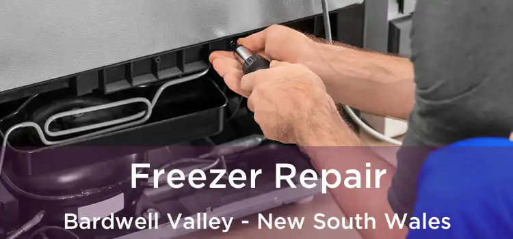 Freezer Repair Bardwell Valley - New South Wales