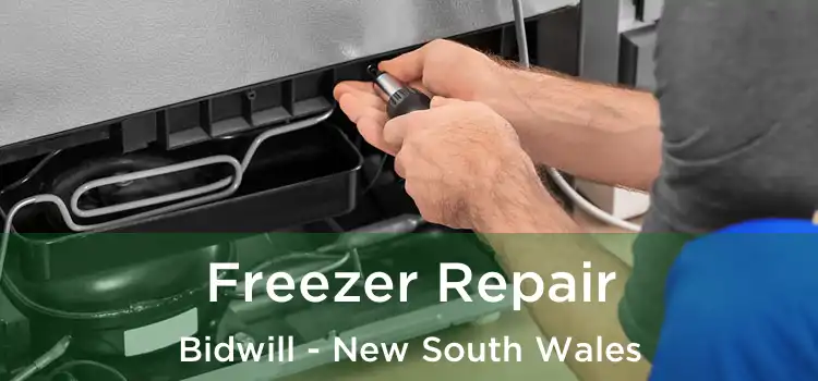 Freezer Repair Bidwill - New South Wales
