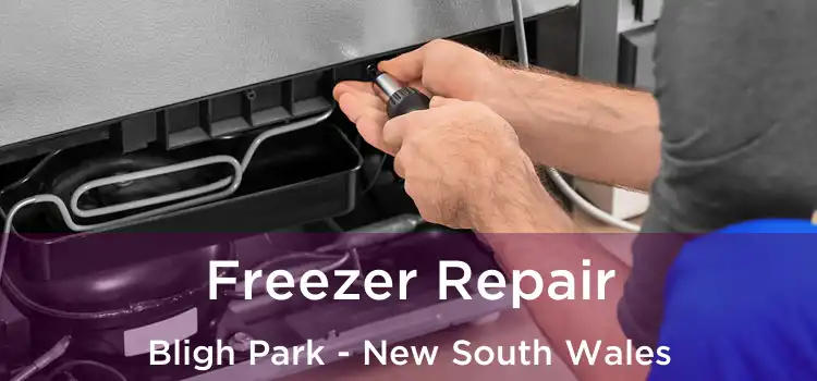 Freezer Repair Bligh Park - New South Wales
