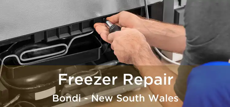 Freezer Repair Bondi - New South Wales