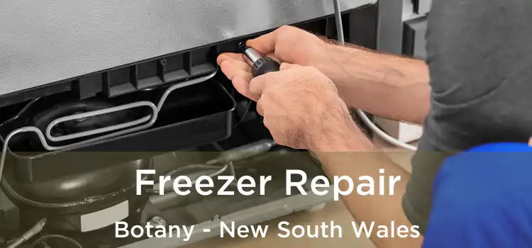 Freezer Repair Botany - New South Wales