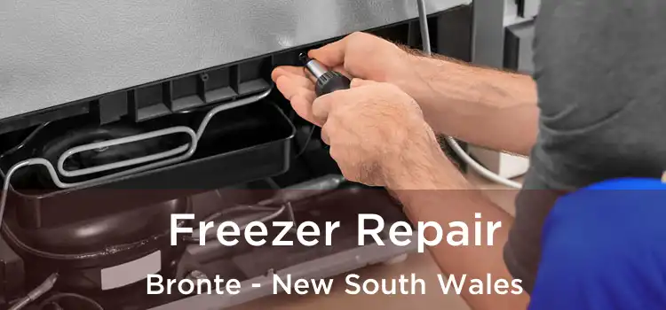 Freezer Repair Bronte - New South Wales