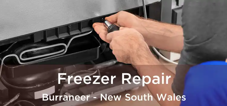 Freezer Repair Burraneer - New South Wales