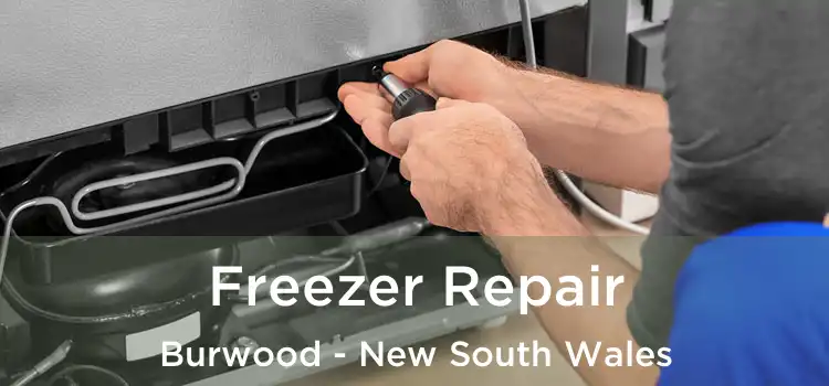 Freezer Repair Burwood - New South Wales