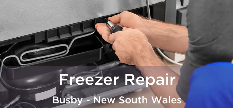 Freezer Repair Busby - New South Wales