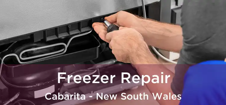 Freezer Repair Cabarita - New South Wales