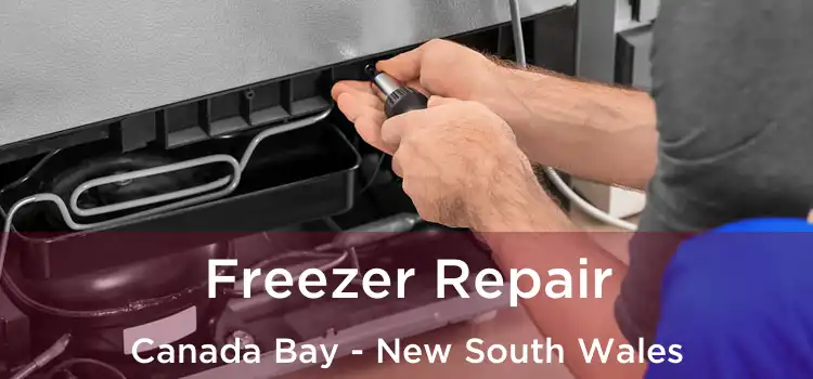 Freezer Repair Canada Bay - New South Wales