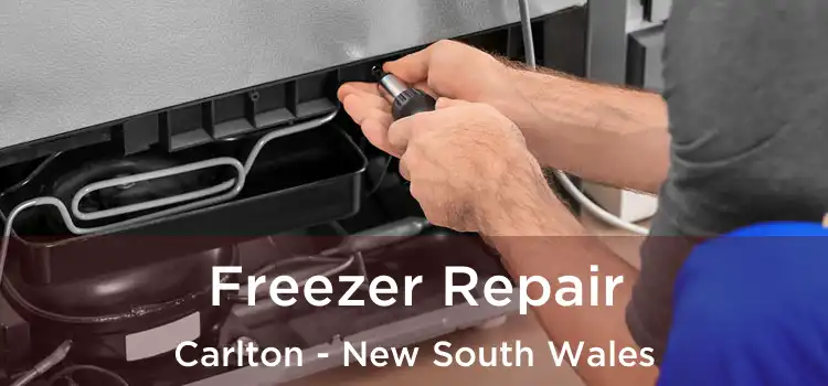 Freezer Repair Carlton - New South Wales