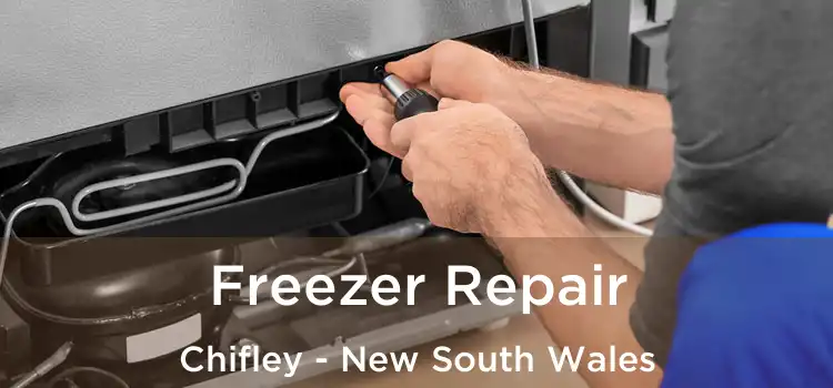 Freezer Repair Chifley - New South Wales