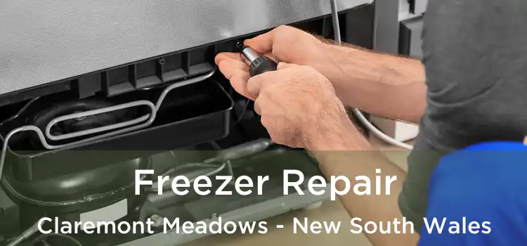 Freezer Repair Claremont Meadows - New South Wales