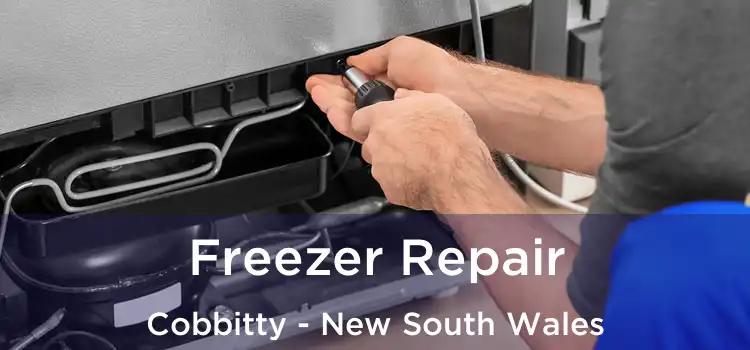 Freezer Repair Cobbitty - New South Wales