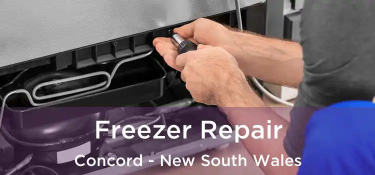 Freezer Repair Concord - New South Wales