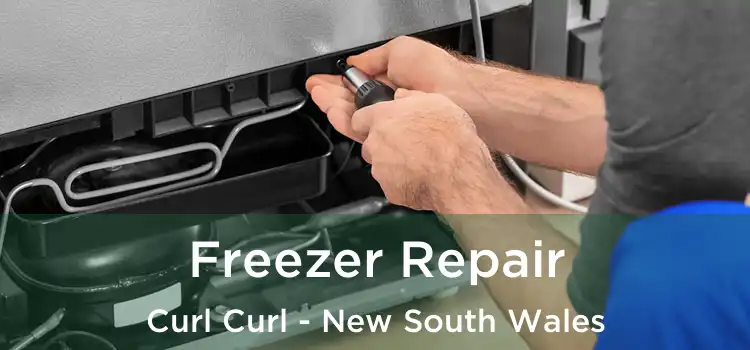 Freezer Repair Curl Curl - New South Wales