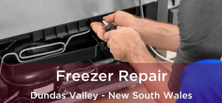 Freezer Repair Dundas Valley - New South Wales