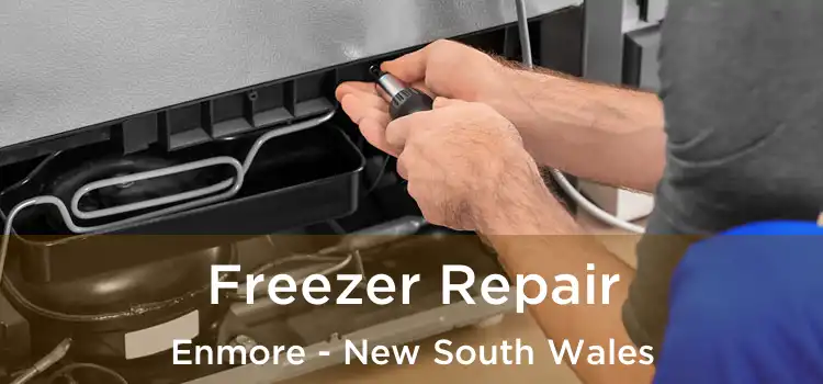 Freezer Repair Enmore - New South Wales