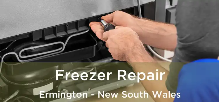 Freezer Repair Ermington - New South Wales
