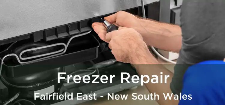 Freezer Repair Fairfield East - New South Wales