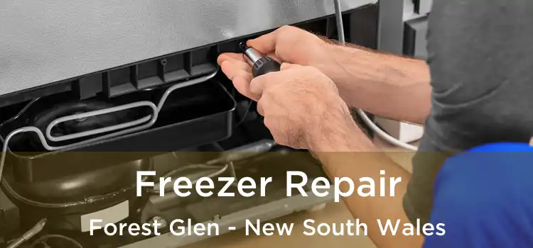 Freezer Repair Forest Glen - New South Wales