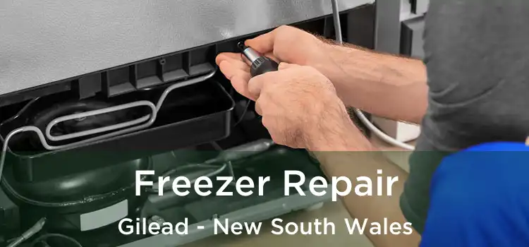 Freezer Repair Gilead - New South Wales