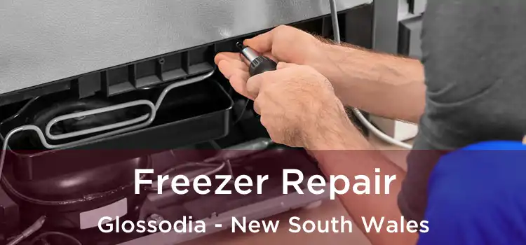 Freezer Repair Glossodia - New South Wales